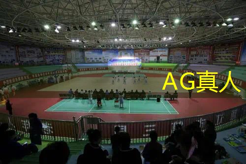 ag真人平台官方：在孤岛生存的3d游戏