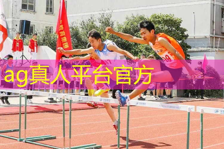 Ag平台官方网站：单人好玩游戏3d手机版