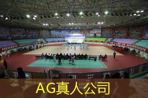 AG总部：3d小游戏射击游戏推荐