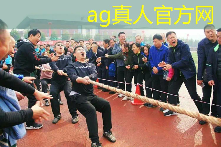 3d游戏主策划需要会哪些软件