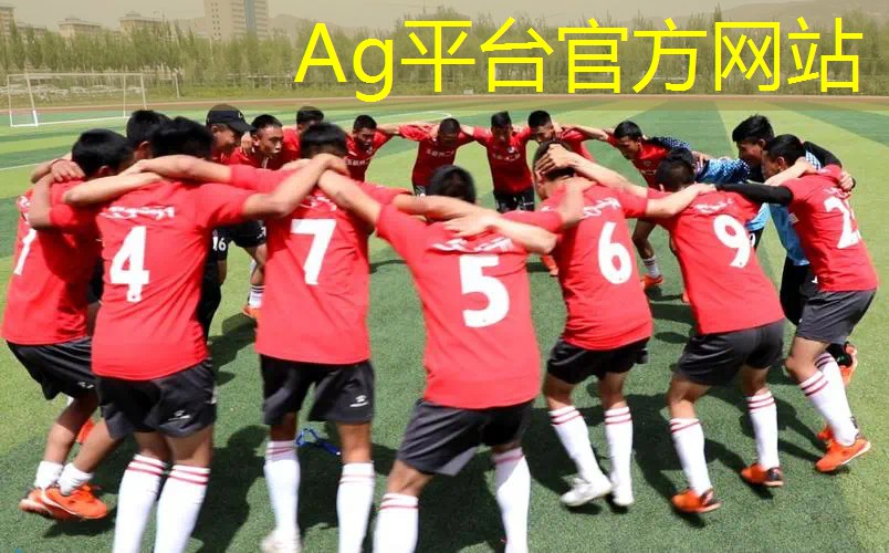 AG总部：照顾妹妹的3d手机游戏