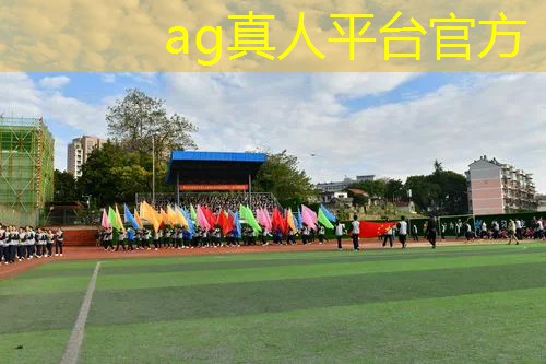 马里奥游戏机3d真实