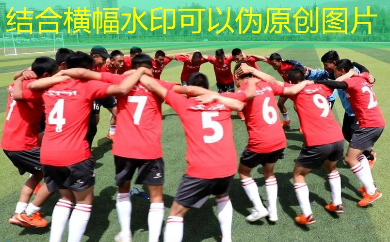Ag平台官方网站：动漫角色3d对战游戏推荐