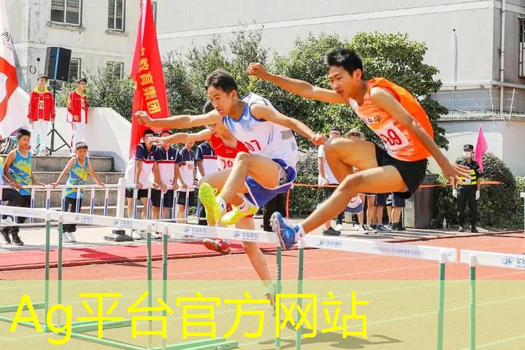 AG真人国际官网：开3d游戏电脑风扇太响
