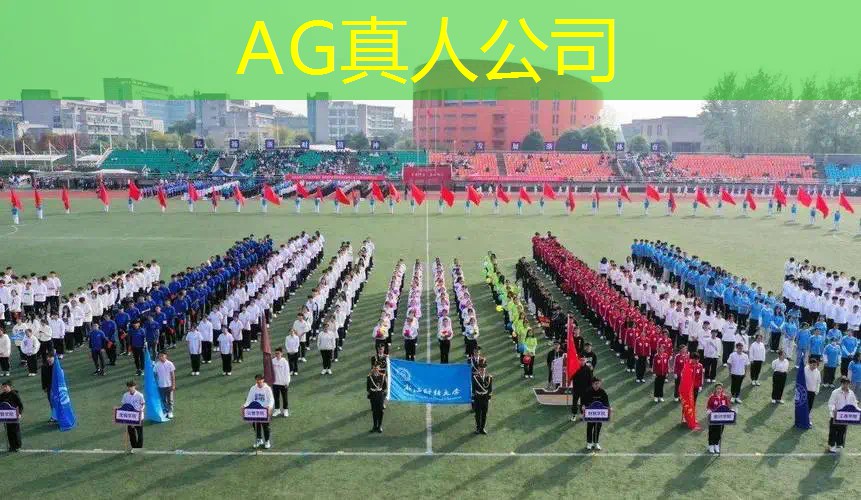 马斯克游戏程序设计