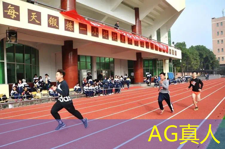 ag真人平台官方：儿童3d立体换装游戏
