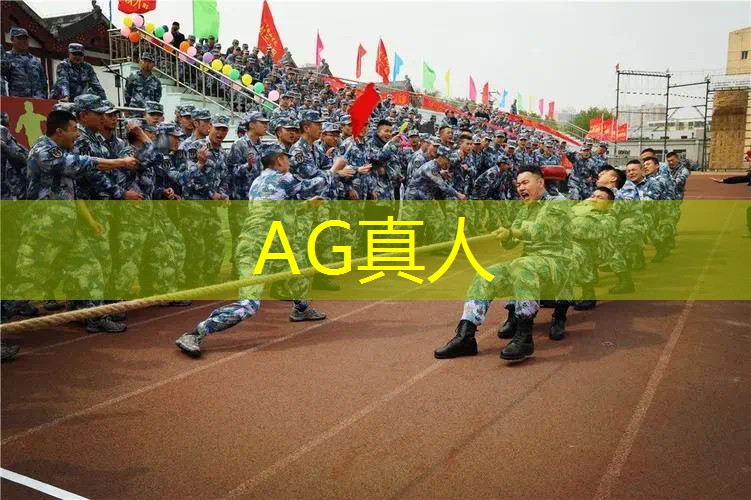 AG总部：3d搭建类游戏推荐手游