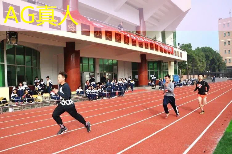 ag真人集团：3d盘手串游戏