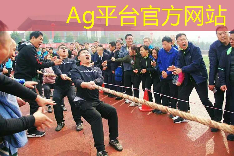 ag真人官方网：高端游戏原画软件