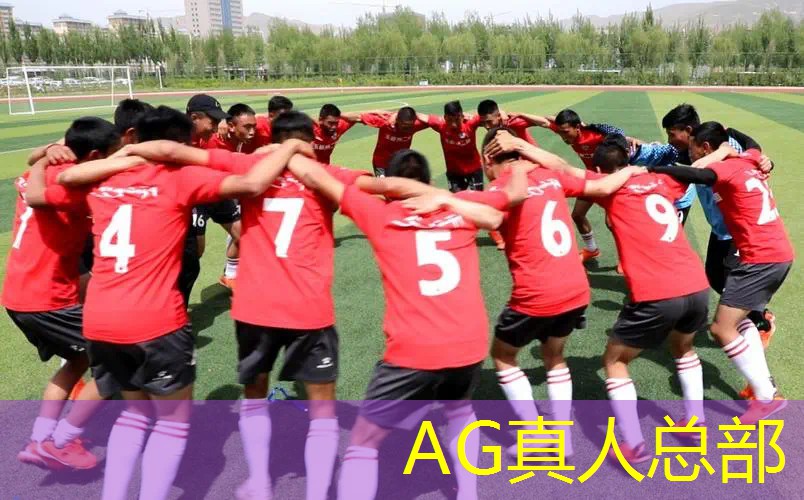 AG真人：电脑3d游戏价格表手机版