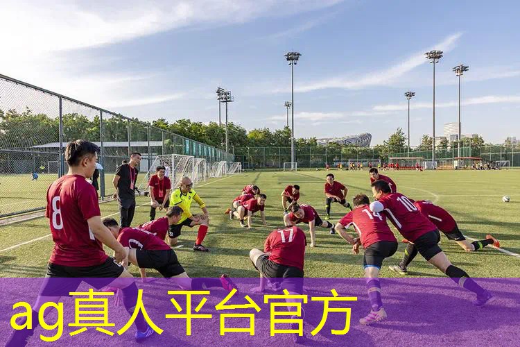 AG总部：3d婚礼模拟游戏入口