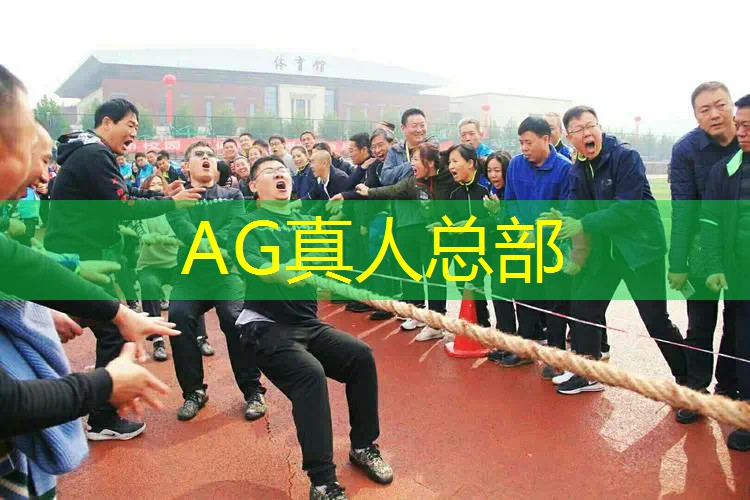 ag真人平台官方：游戏海报原画人物素材