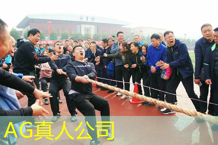 AG总部：塔防游戏小程序免费在线