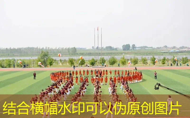 Ag平台官方网站：虫子可以进化可以打人类的3d游戏