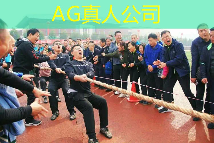 ag真人官方网：做游戏策划需要什么学历和学位