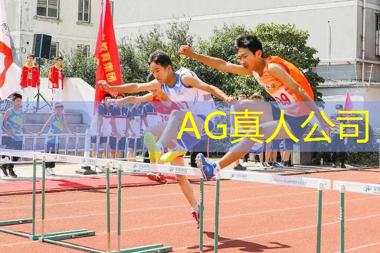 宝宝巴士最好的3d游戏
