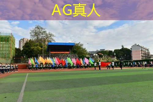 ag真人平台官方：如何玩转云鹤3d游戏教程