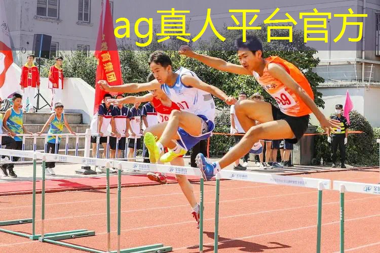 AG总部：沉浸式游戏3d动漫