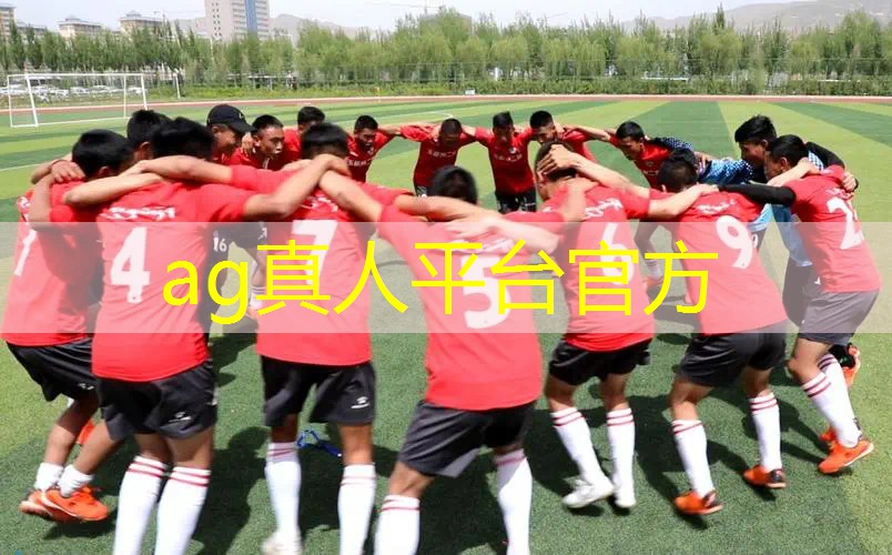 Ag平台官方网站：街机3d经典对战游戏大全