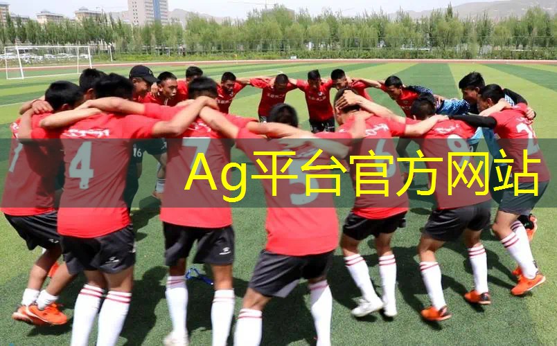 ag真人官方网：震撼游戏原画设计