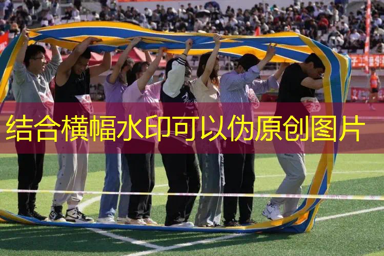 情感游戏程序是什么类型