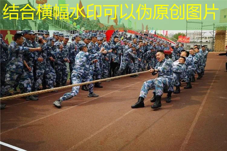 AG真人：毛球游戏程序设计与实现