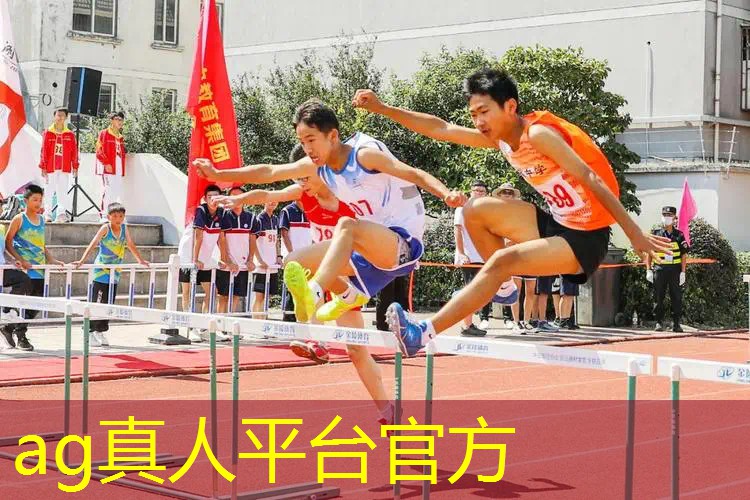 Ag平台官方网站：开车游戏3d版手游