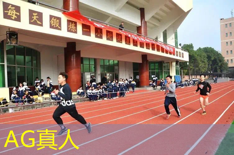 绝杀最后一击超逼真3d射箭游戏入口