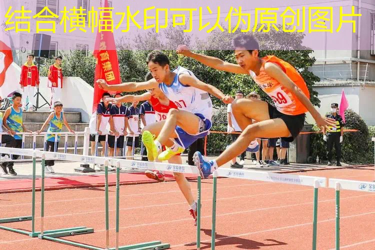 ag真人官方网：复古3d游戏画面设置在哪