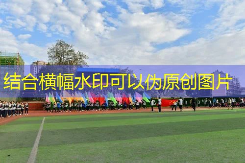 Ag平台官方网站：仓鼠球3d手机游戏大全