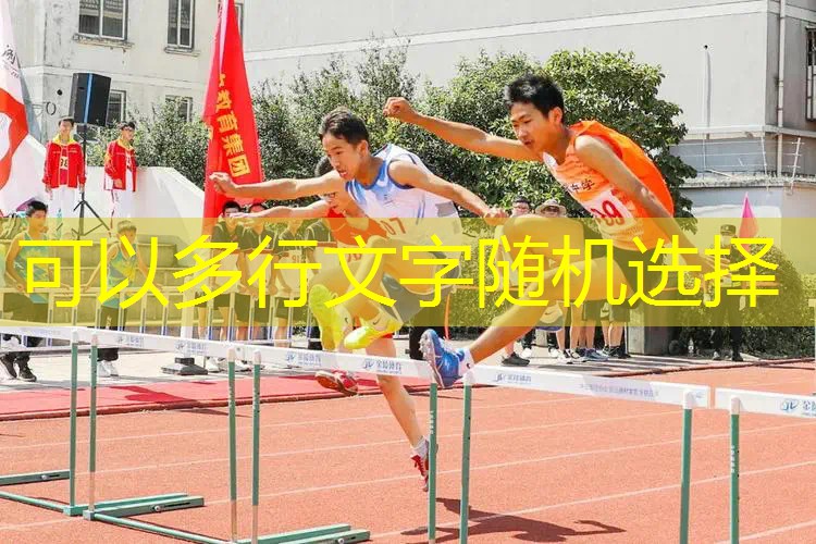 斑马游戏策划公司简介