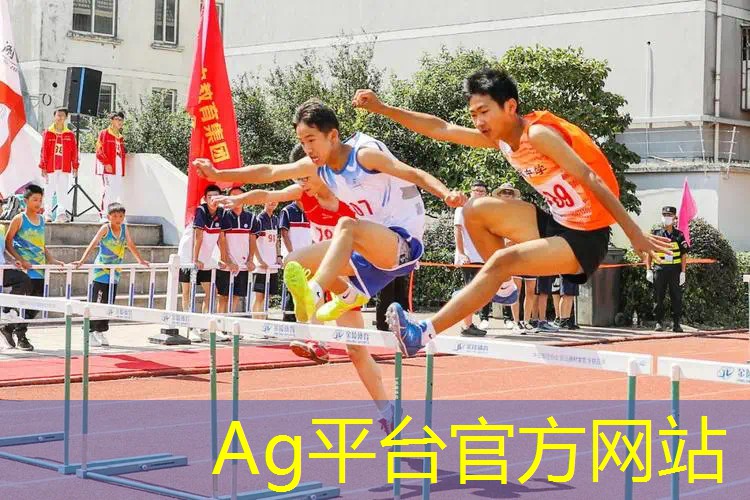 游戏王原画尺寸是多少比例