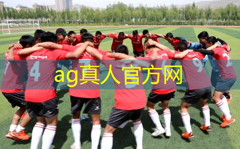 照顾妹妹的3d手机游戏