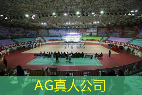 电脑3d台球游戏联机