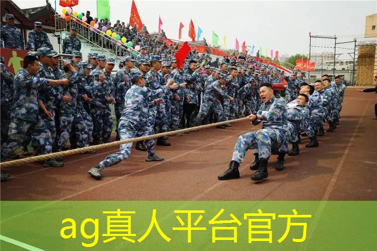 禅游游戏策划方案