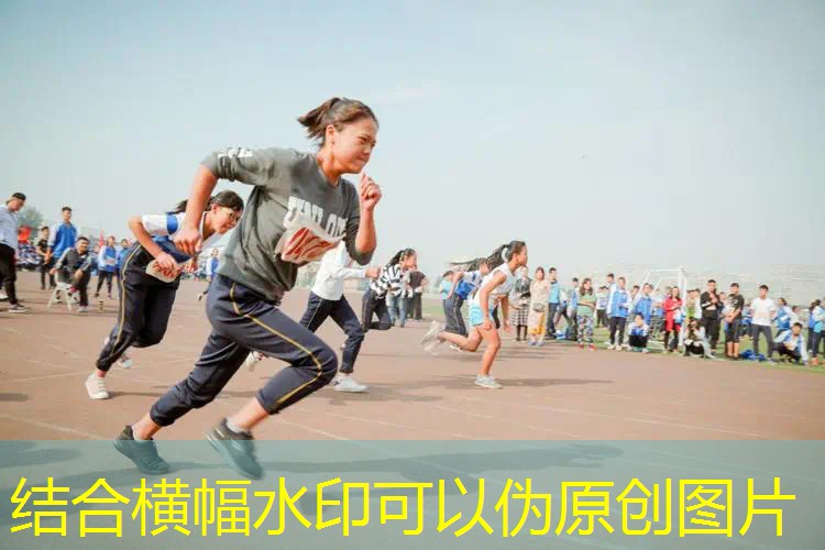 场景3d快速成型游戏