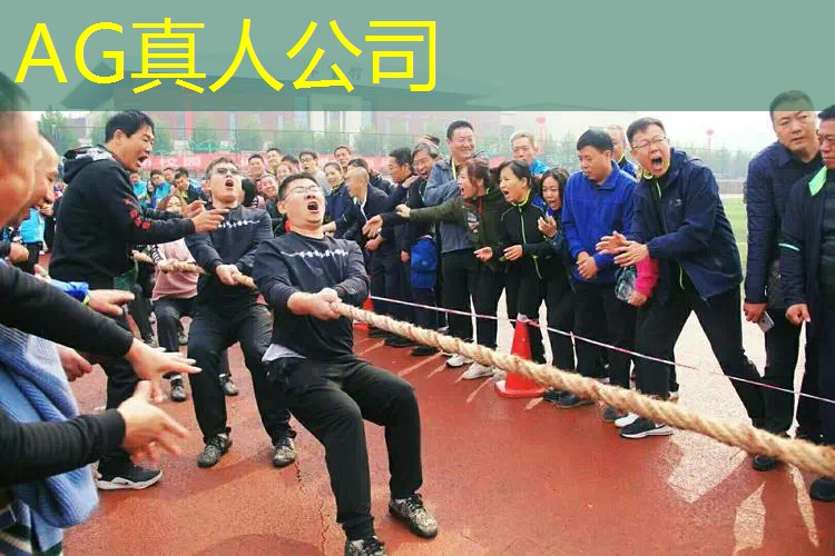 网易游戏3d游戏手游
