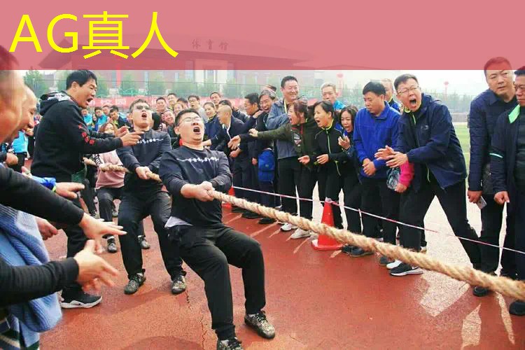 拼装机甲3d游戏推荐
