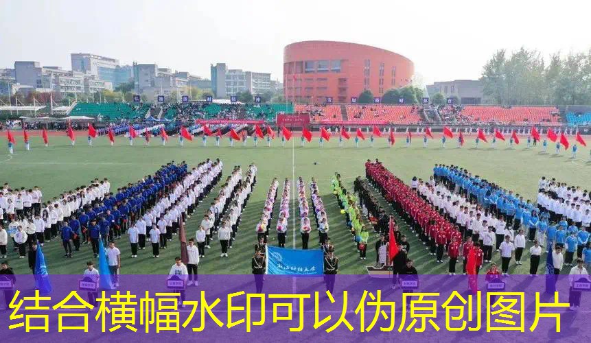 3a动作游戏需要多少帧