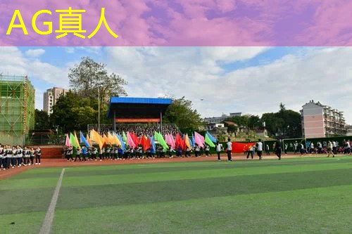 台球教学游戏3d