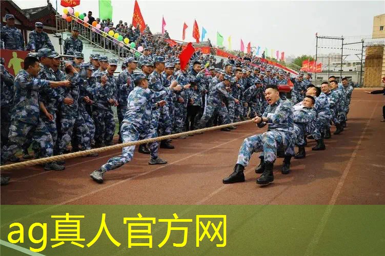 战火使命游戏里是原画吗