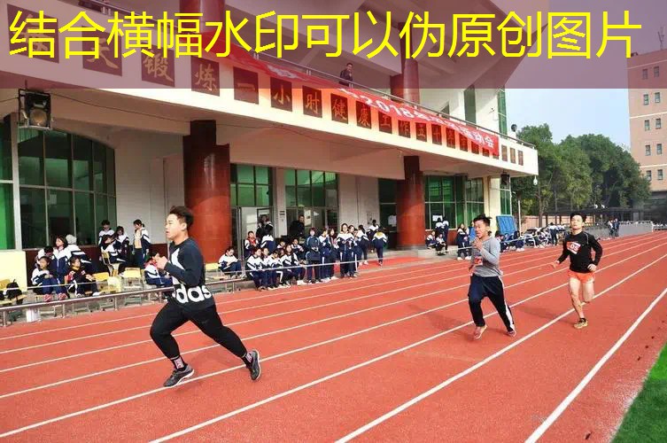 会员卡牌小程序有哪些游戏