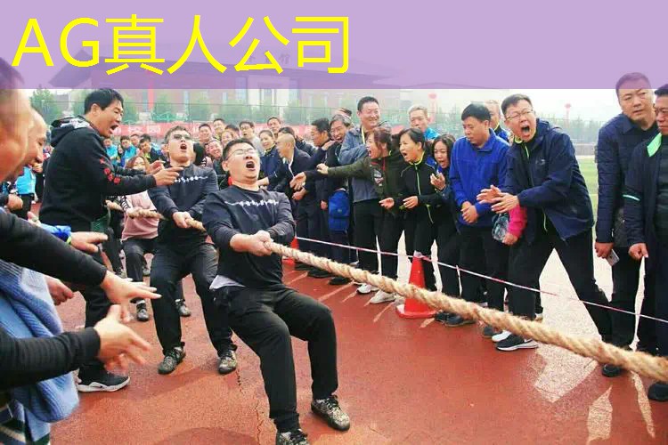 高端游戏原画软件