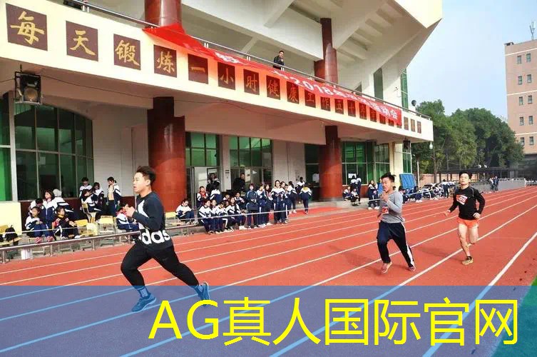 开荒经营建设类游戏3d