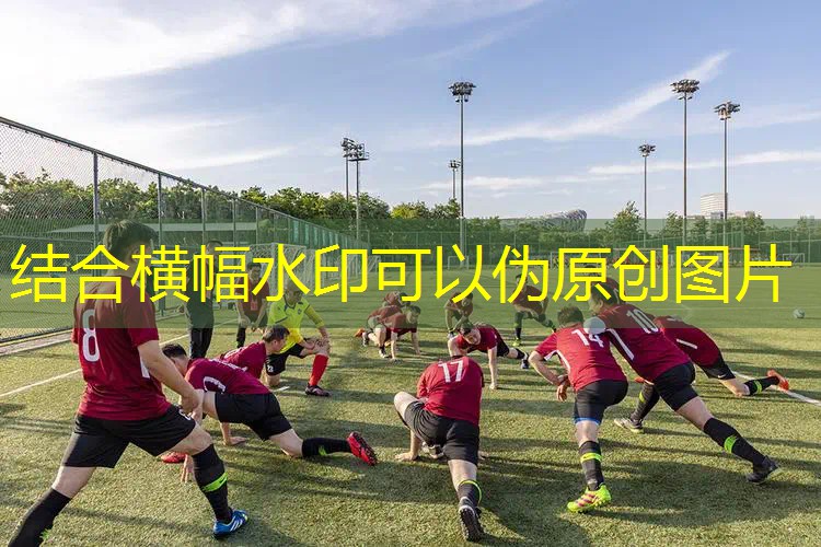 曼德拉记录3d版游戏在线观看