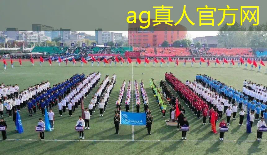 呱哥玩游戏蚂蚁进化3d