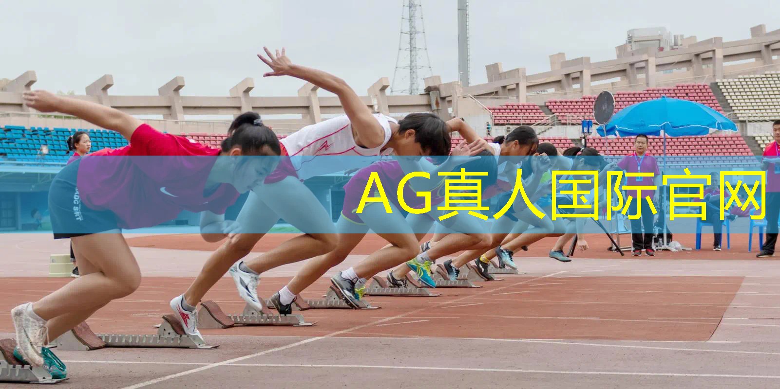 3d版农场手机游戏推荐