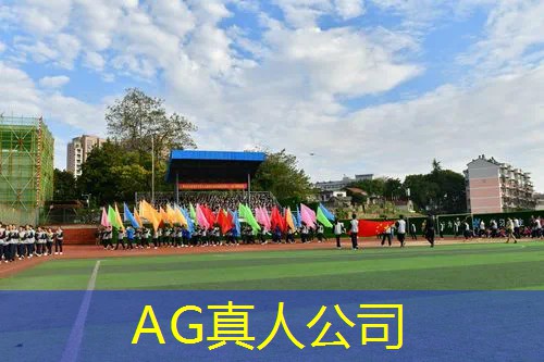 街头霸王游戏机最新版3D