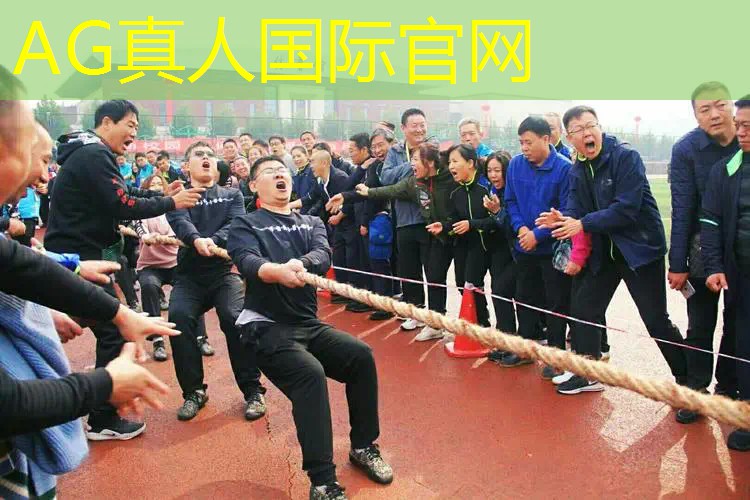 3d游戏号推荐分析