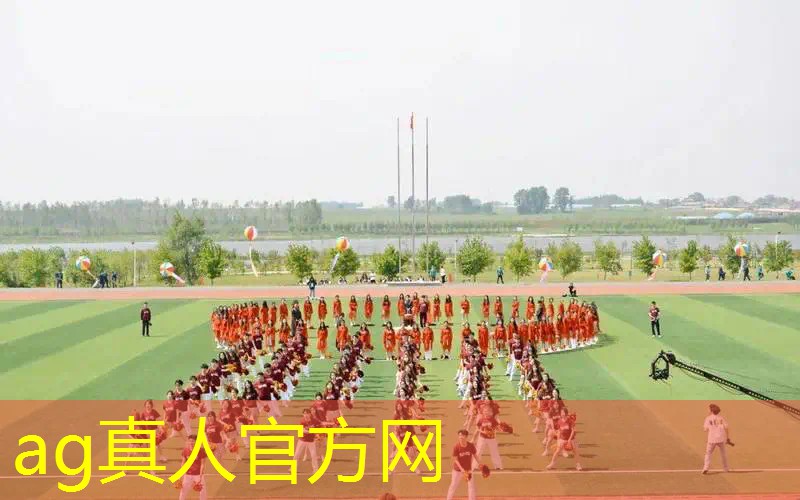 虫子可以进化可以打人类的3d游戏